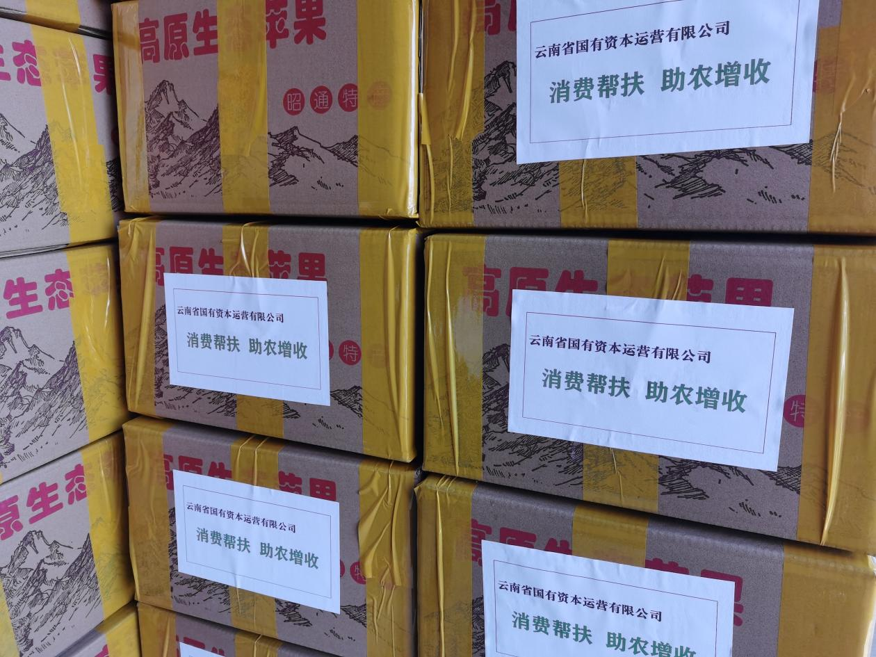 图片14.png
